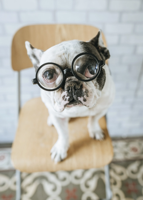 AdobeStock_170520761