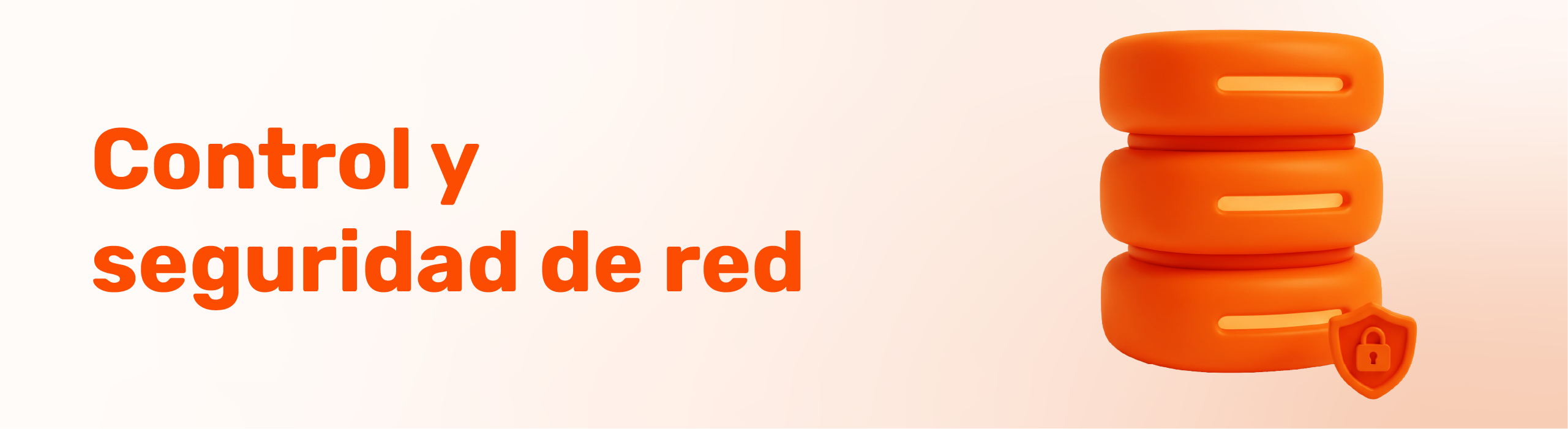 Control y seguridad de red