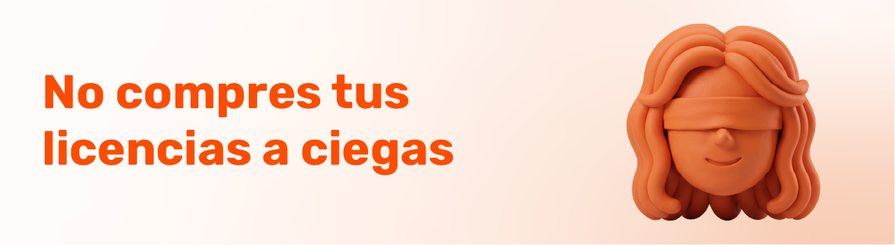 Arquitectura de TI y licenciamiento diseñado por un partner SolarWinds. 