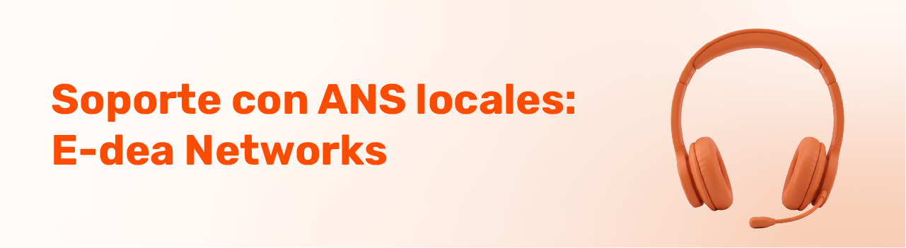 Arquitectura de TI y licenciamiento diseñado por un partner SolarWinds. 