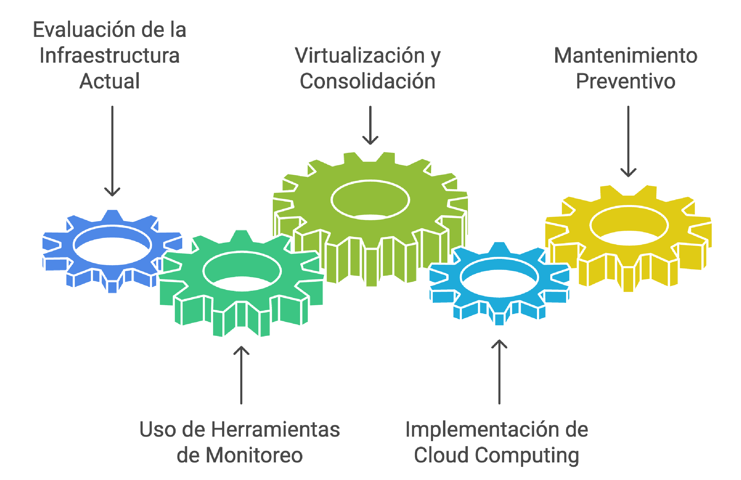 proceso de optimización
