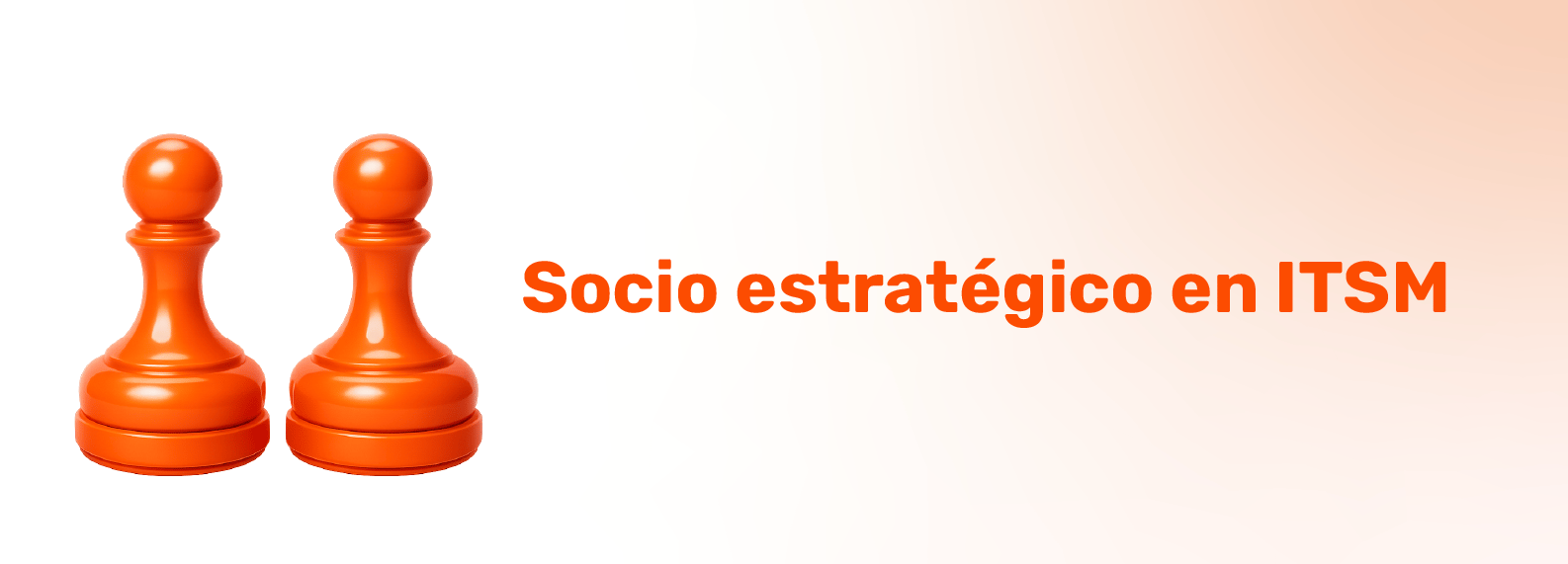 Socio estrategico