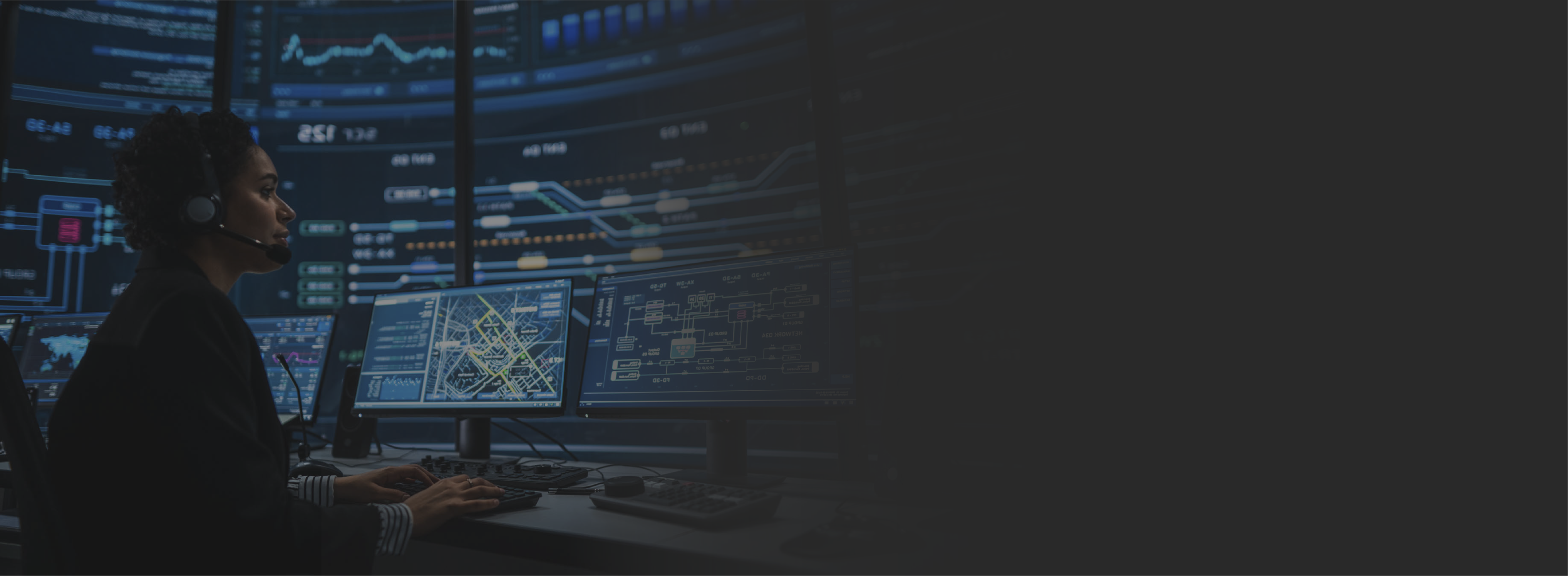 niveles de monitoreo con e-dea